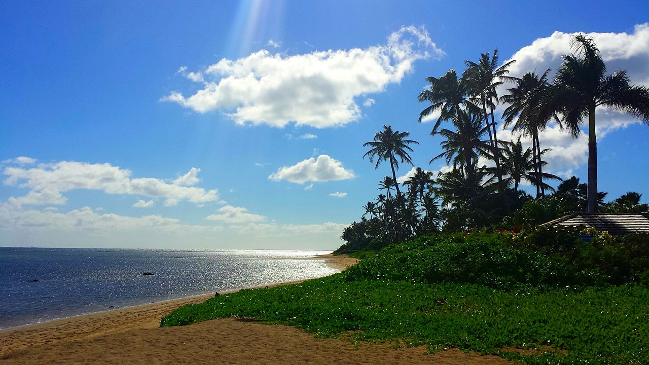 hawaii island tropical free photo