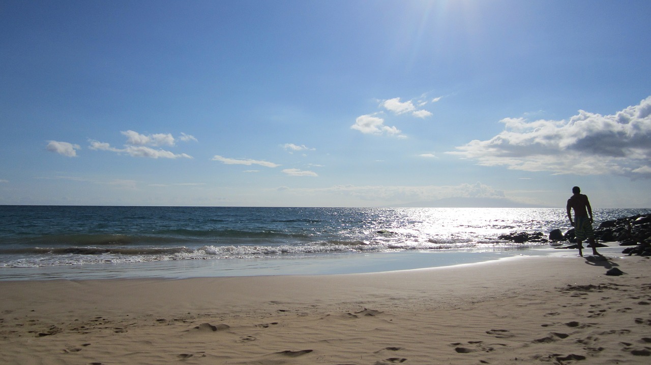 hawaii beach sun free photo