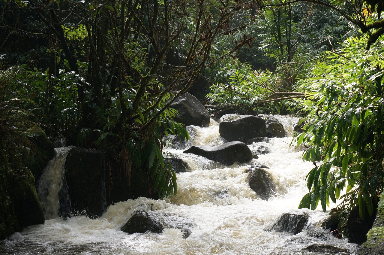 hawaii tropical waterfall free photo