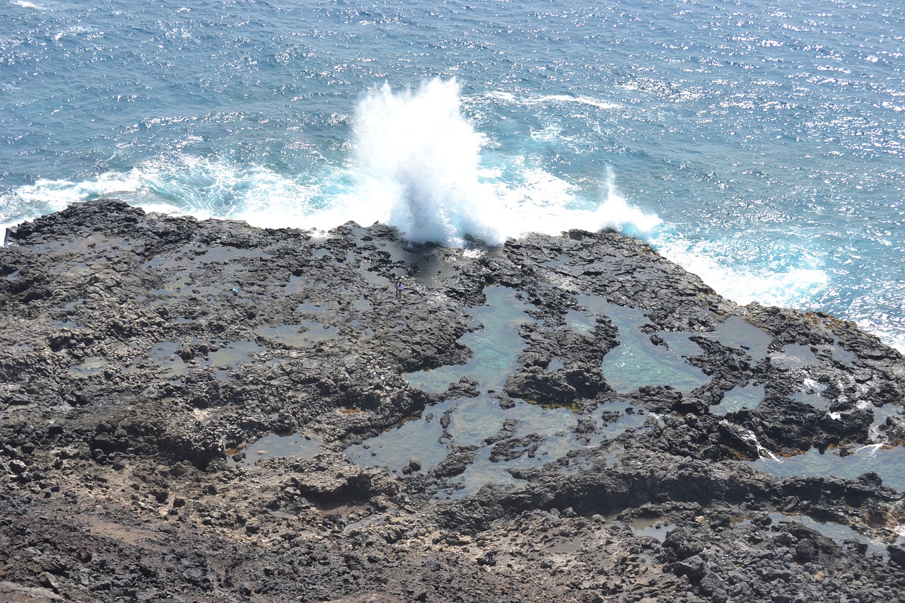 hawaii ocean rocks free photo