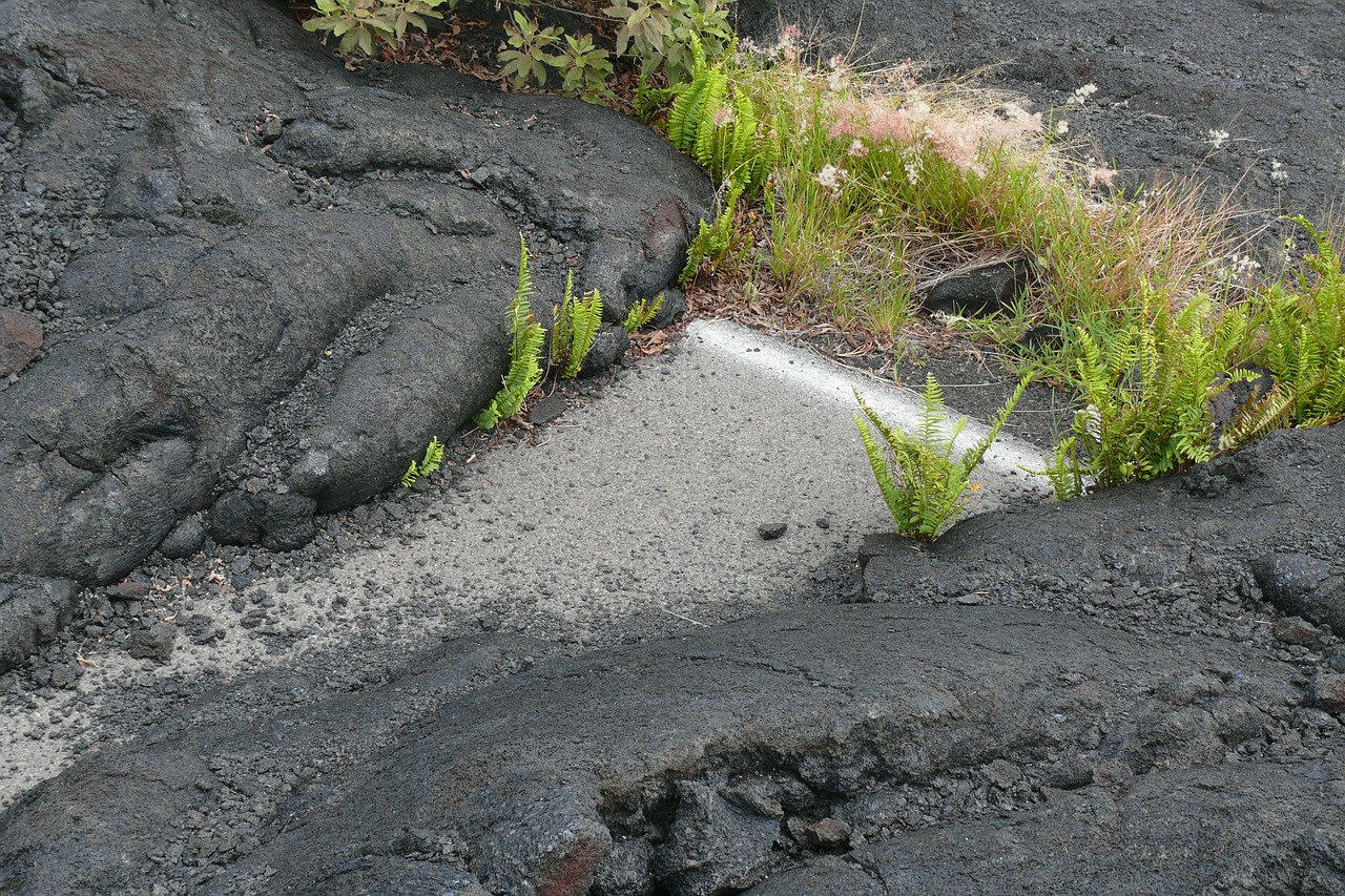 hawaii national parka volcano free photo