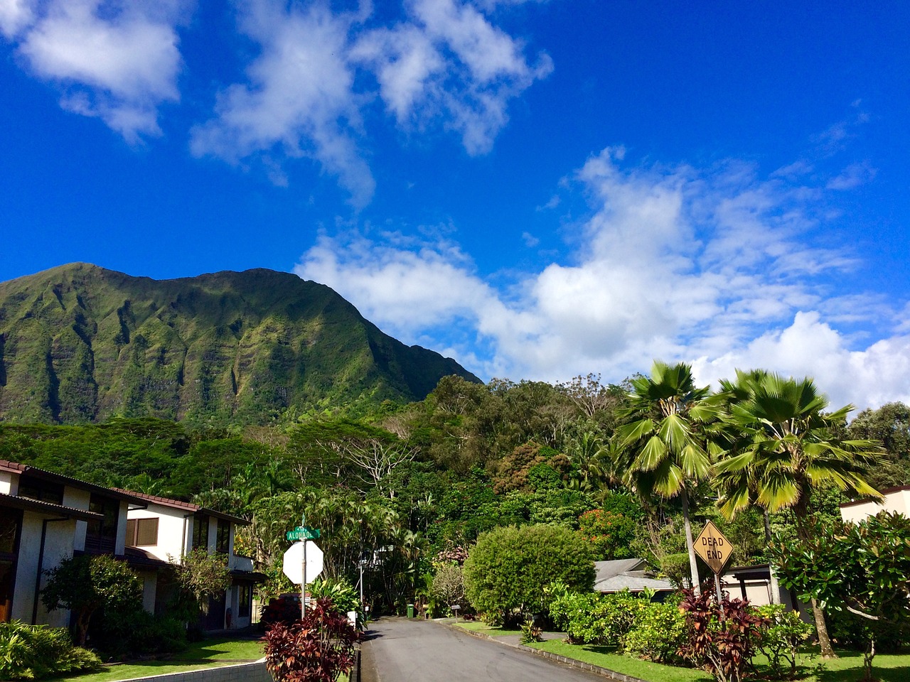 hawaii oahu mountain free photo