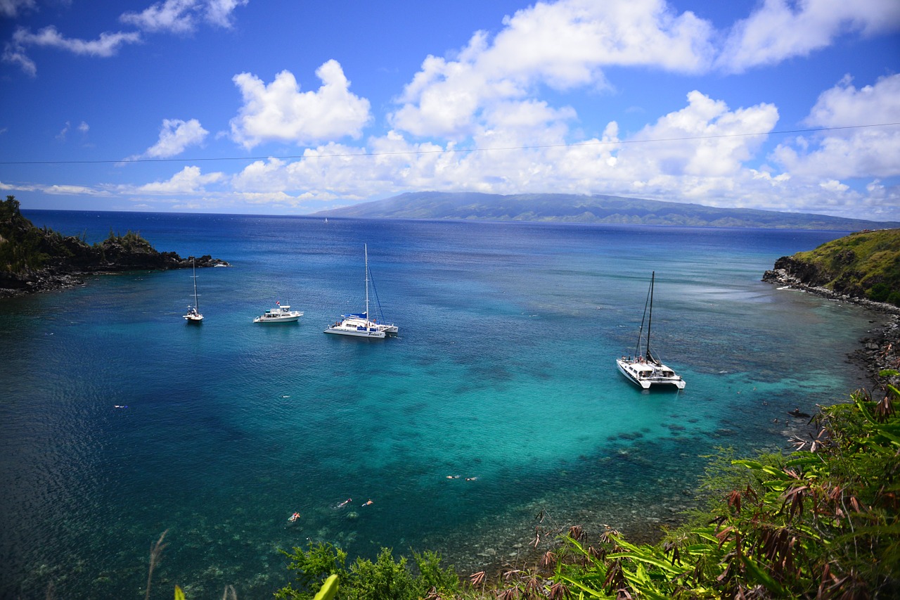 hawaii maui snorkel free photo