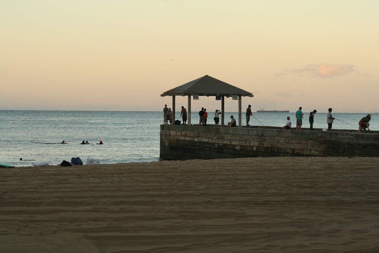 hawaii beach sand free photo