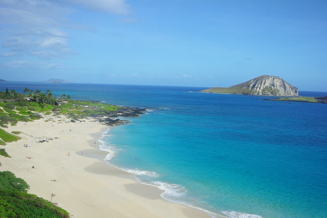 hawaii beach sea free photo