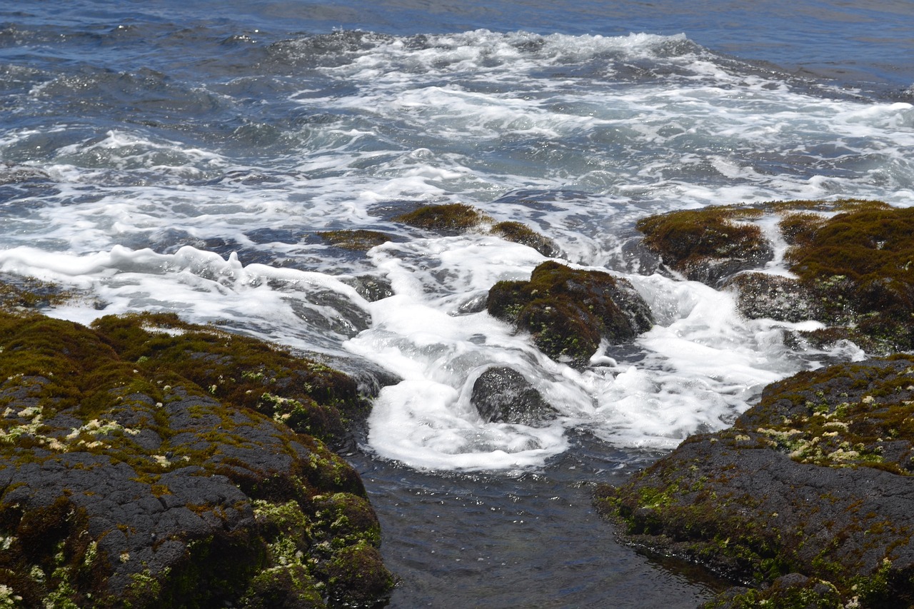 hawaiian coast waves rocks free photo