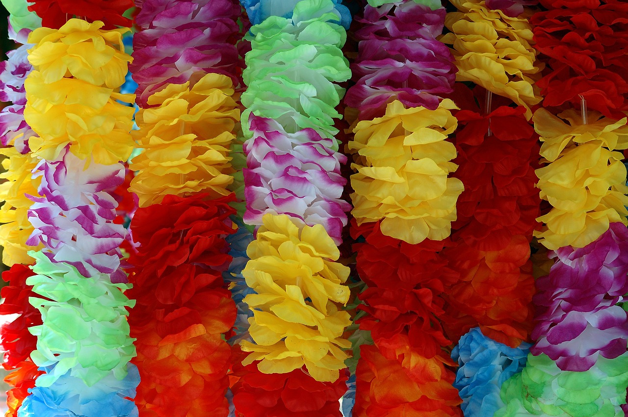 hawaiian lei  floral  vibrant colors free photo