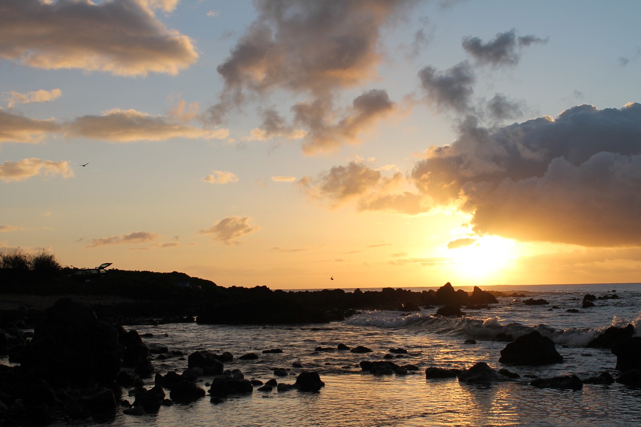 hawaii sunrise sandy beach free photo