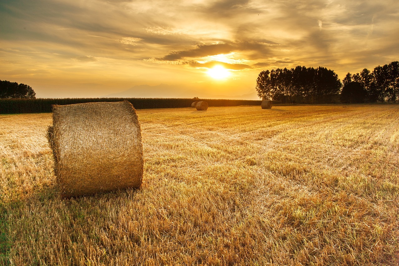 Download free photo of Hay,field,agriculture,sunset,landscape - from ...