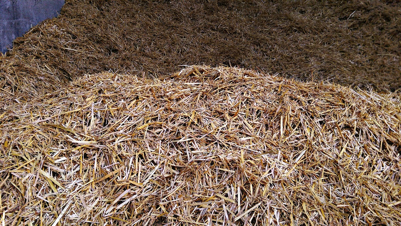 hay farm bedding free photo