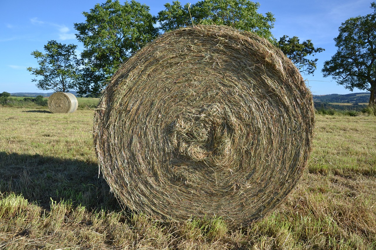 hay roller nature free photo