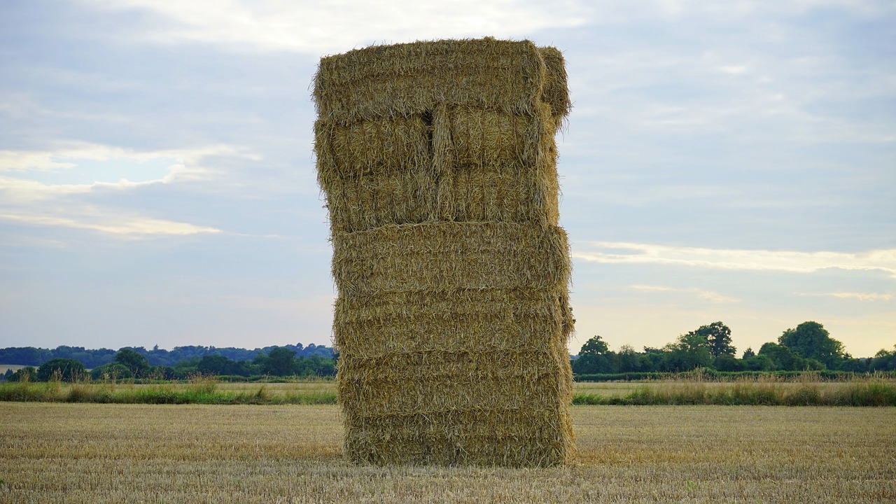 hay field farm free photo