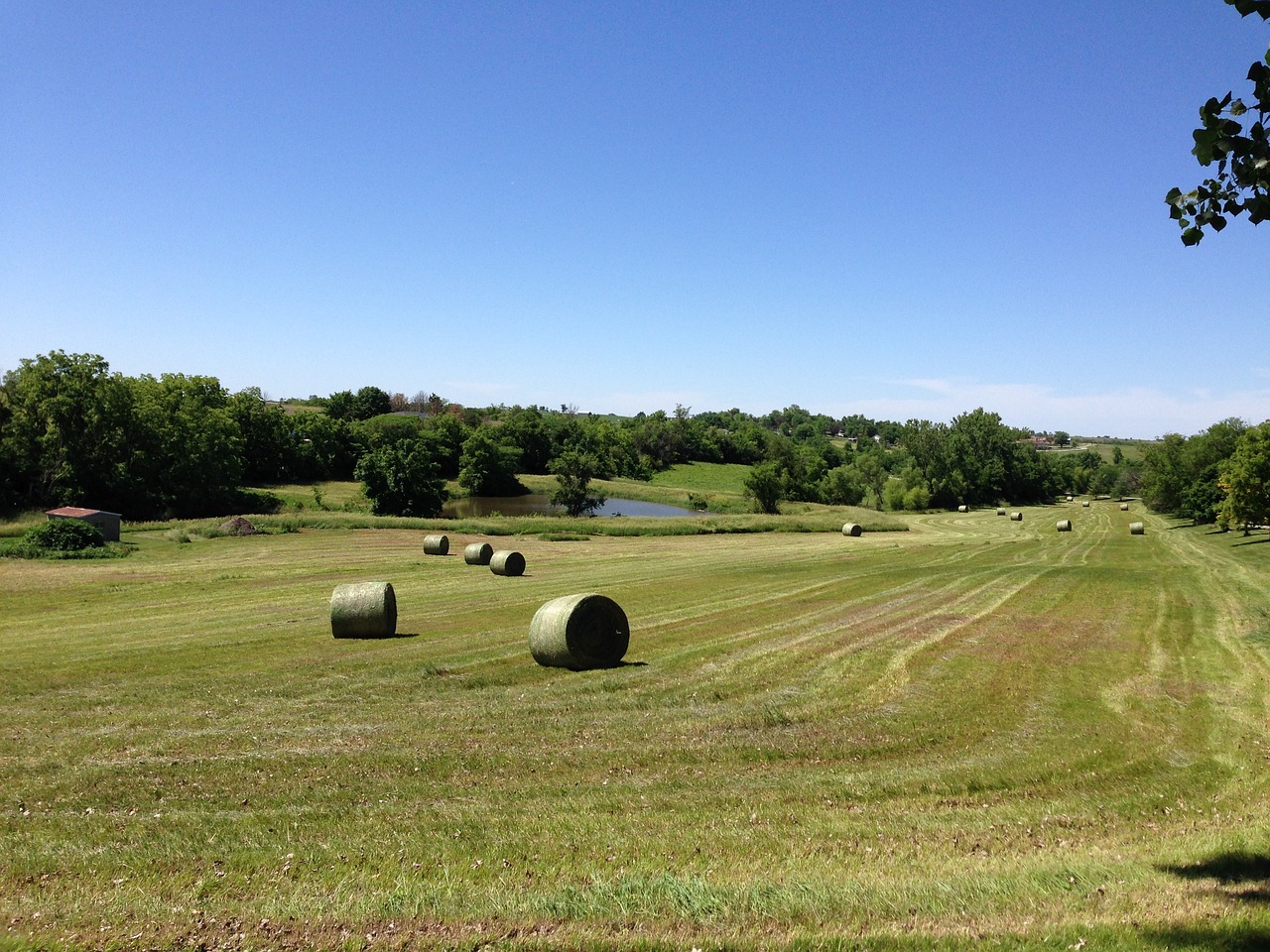 hay bale field free photo