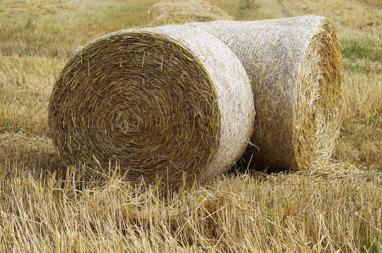 hay straw disc free photo