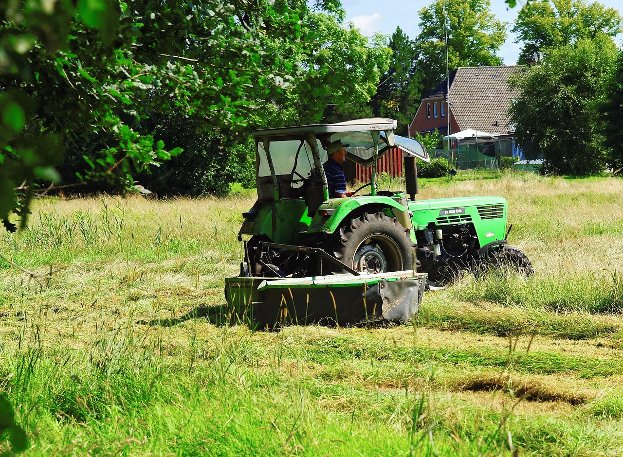 hay mow rural free photo