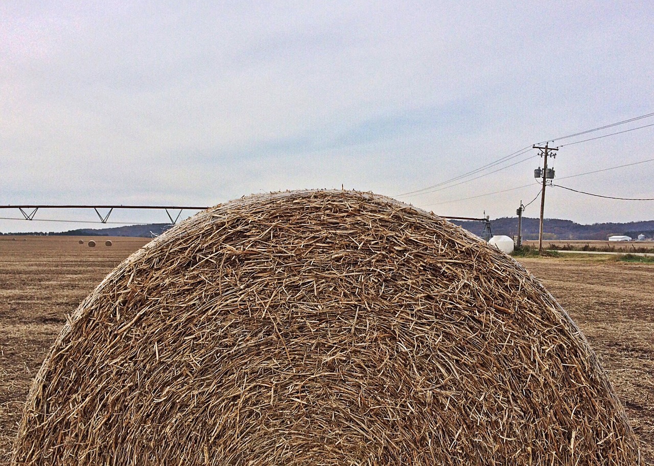 hay bale farm free photo