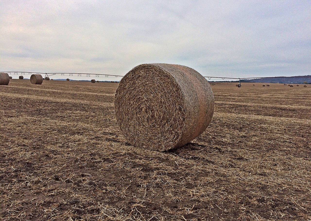 hay bale farm free photo