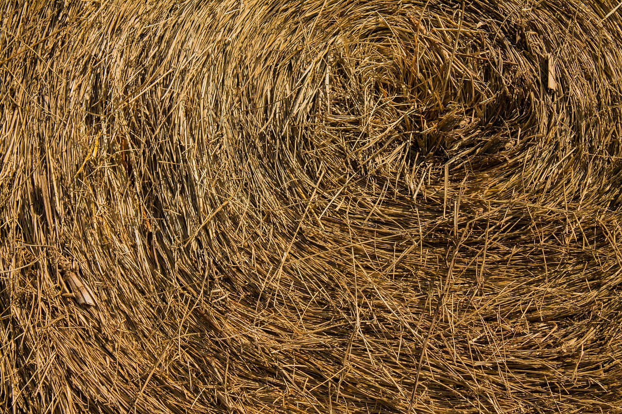 hay bale agriculture free photo