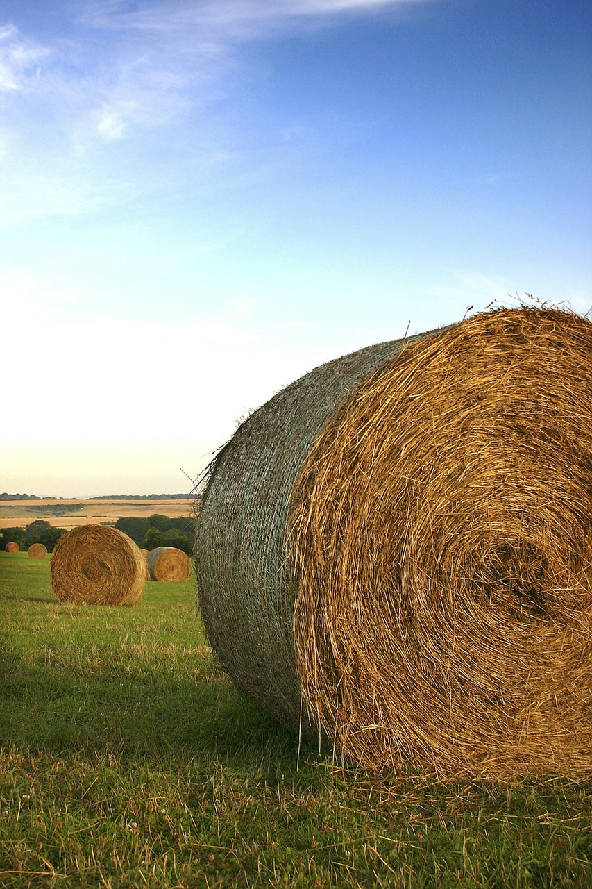 hay balls field free photo