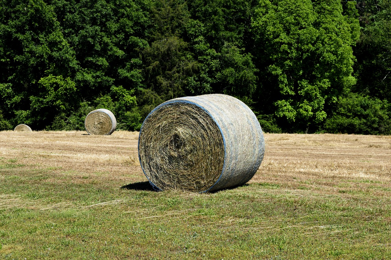 hay bale agriculture free photo