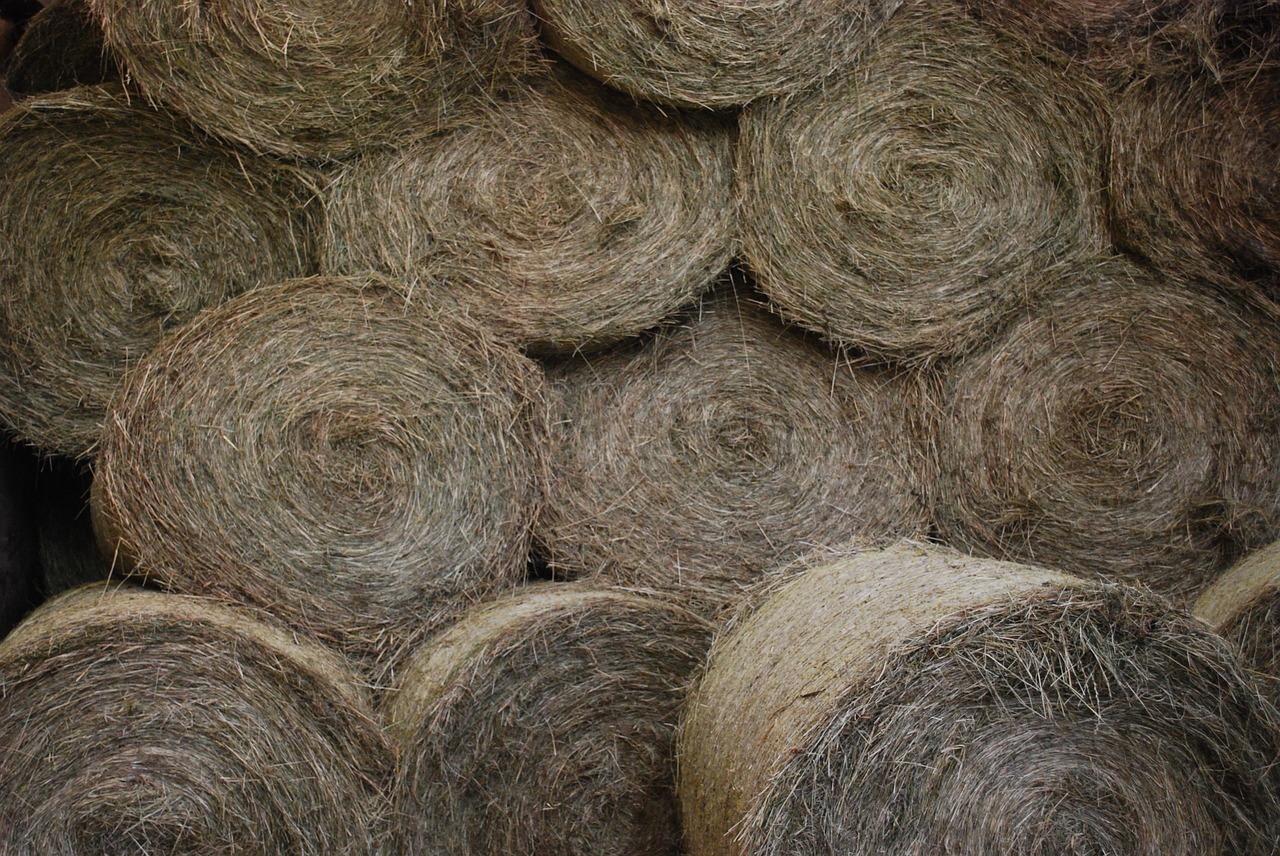 hay round ball agriculture free photo