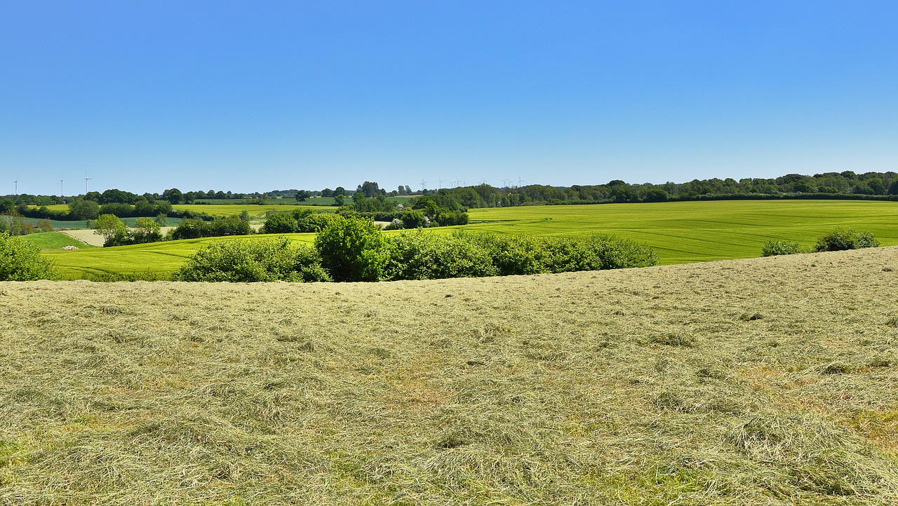 hay landscape fields free photo