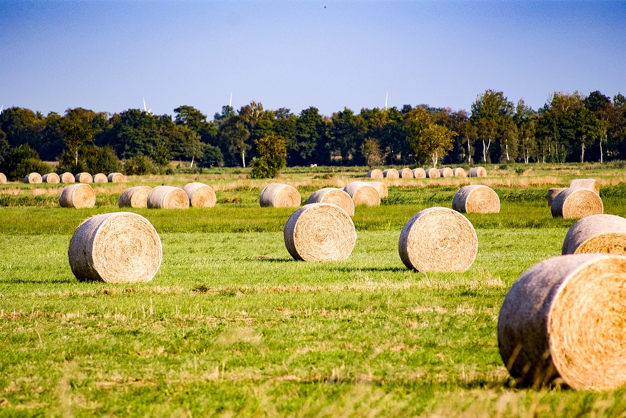 hay bale agriculture free photo