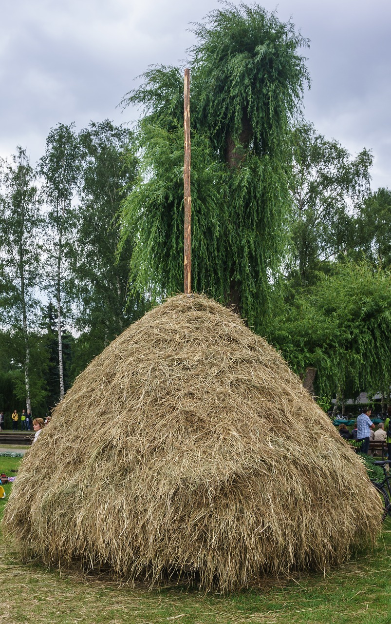hay haystack agriculture free photo