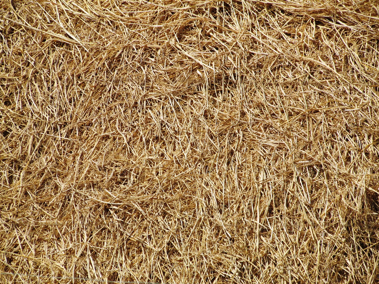 hay straw bale free photo