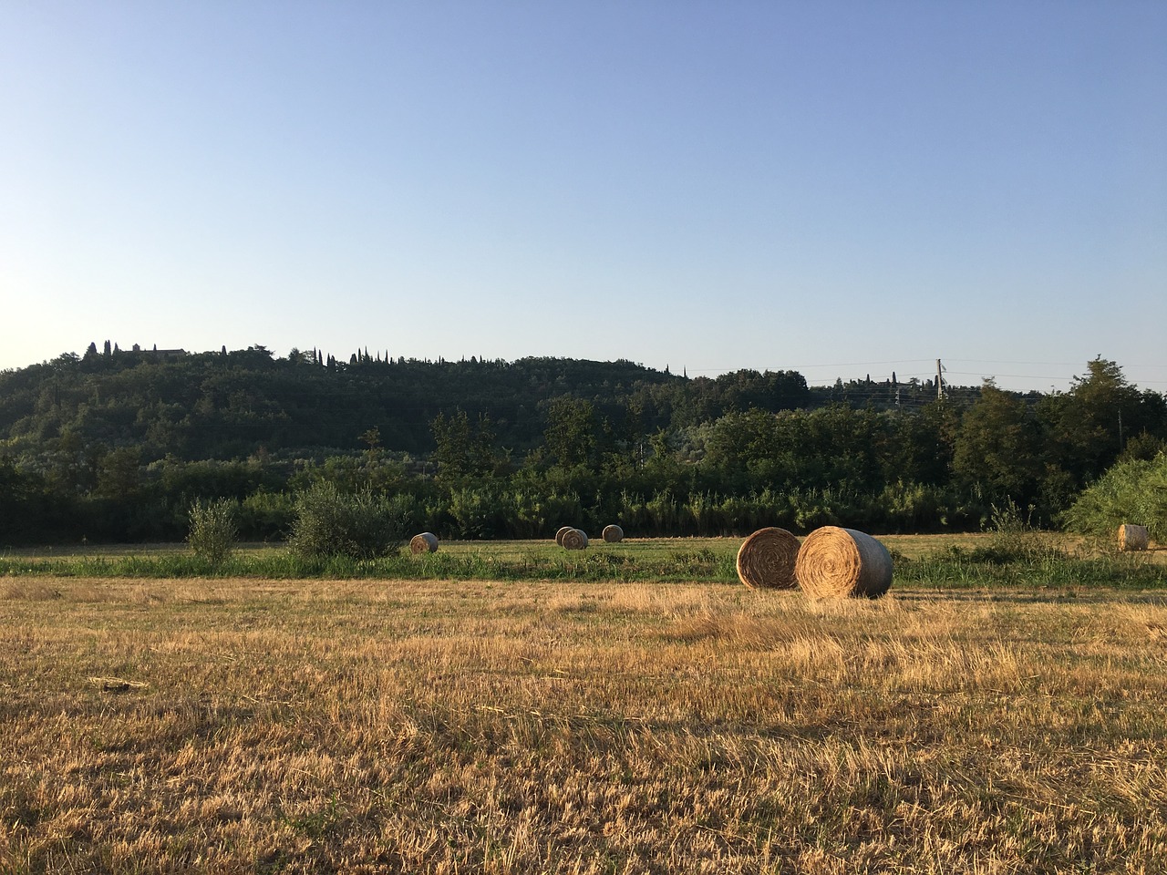 hay bale landscape free photo