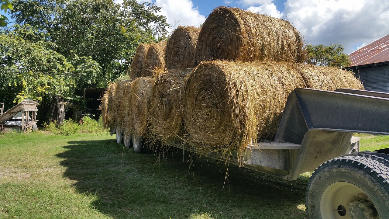 hay bales trailer free photo
