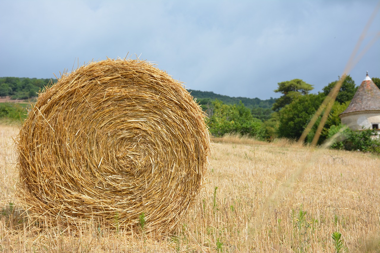 hay  pasture  countryside free photo