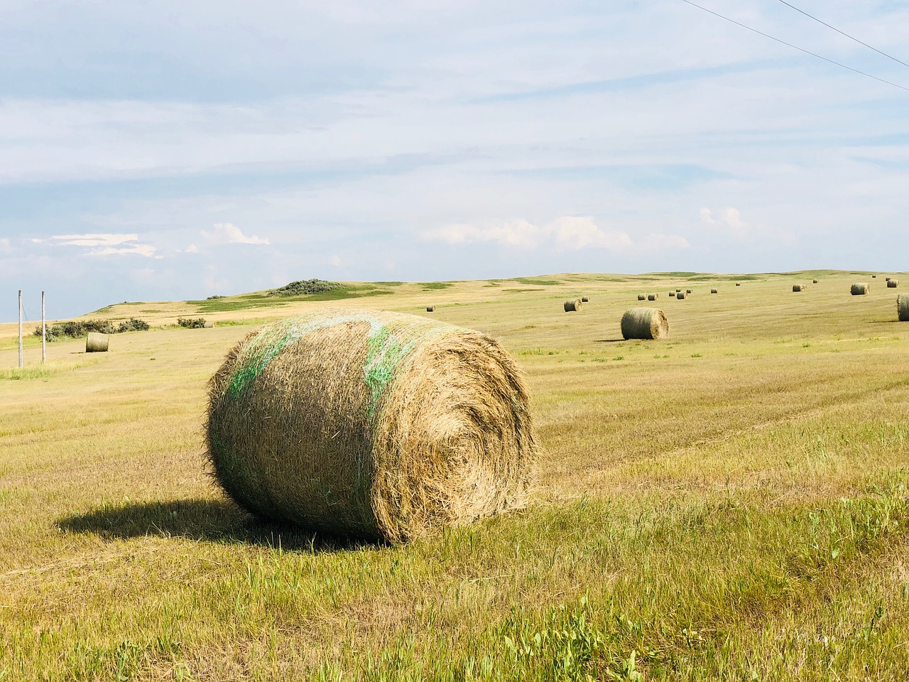 hay  bale  field free photo