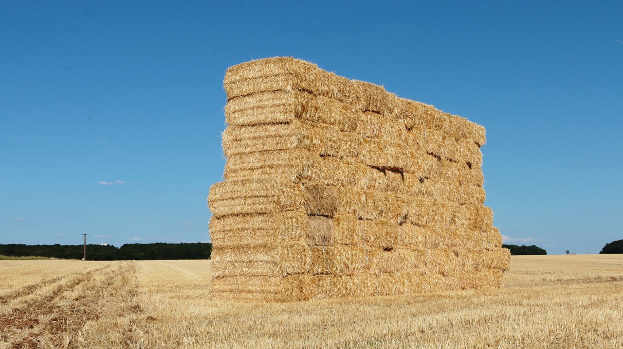 hay forage balls free photo