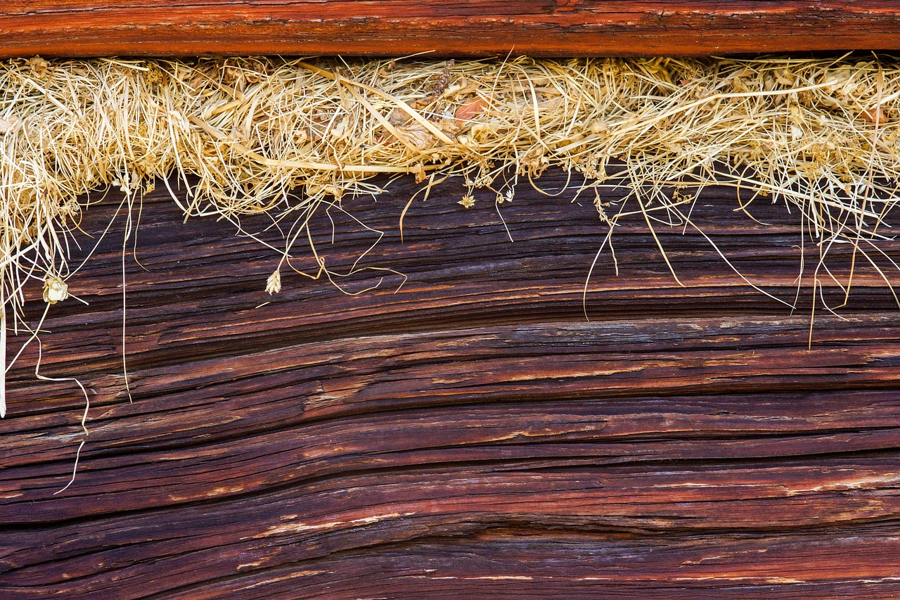 hay  natico  wood free photo