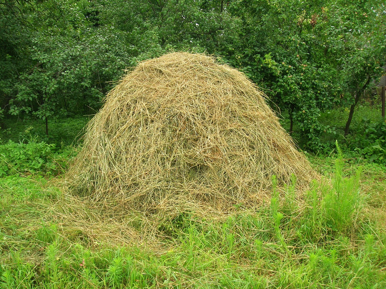 hay rick village free photo