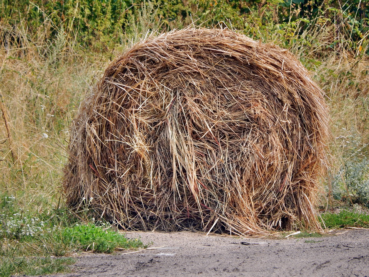 hay rick haystack free photo