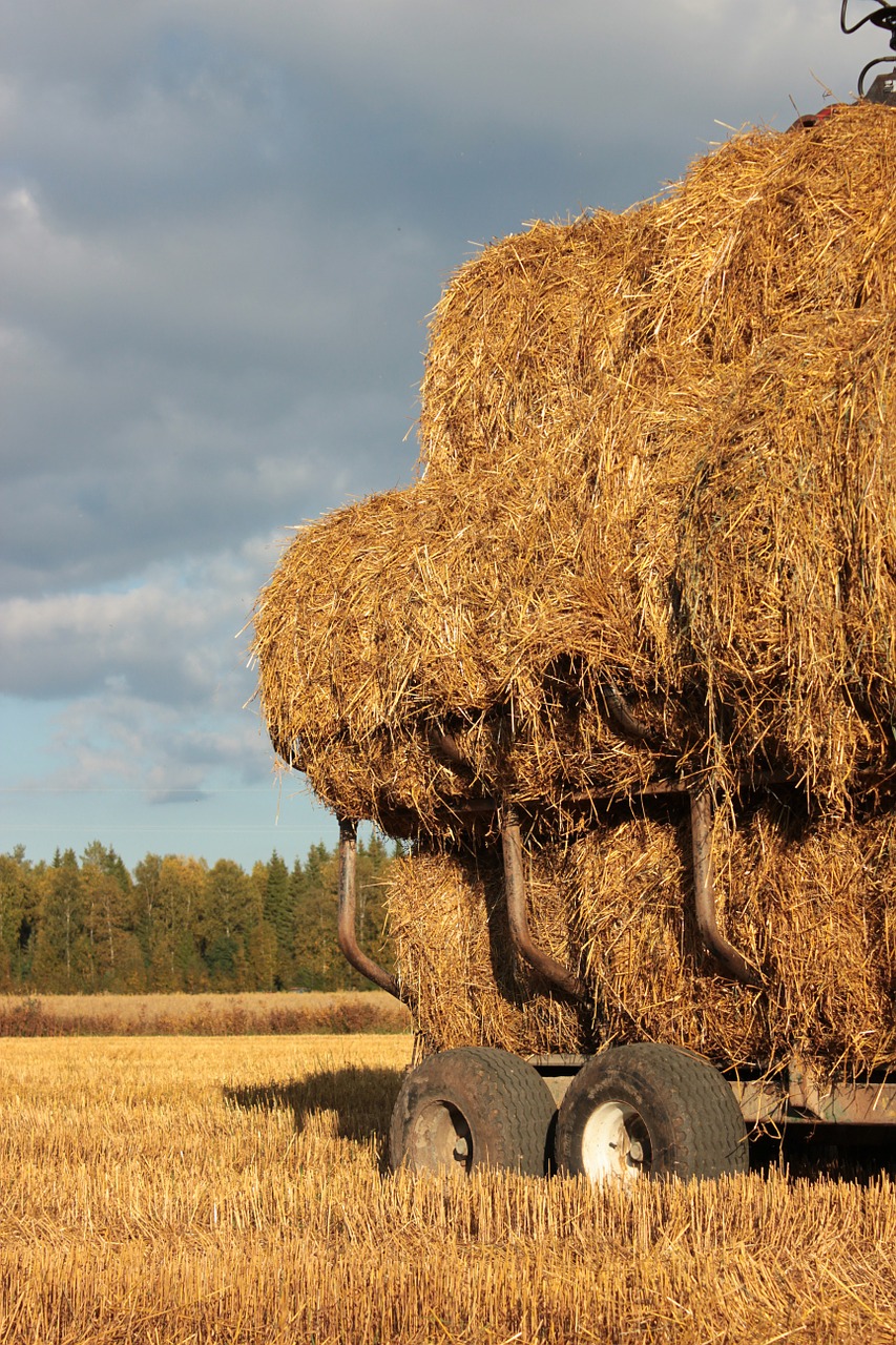 hay countryside sky free photo