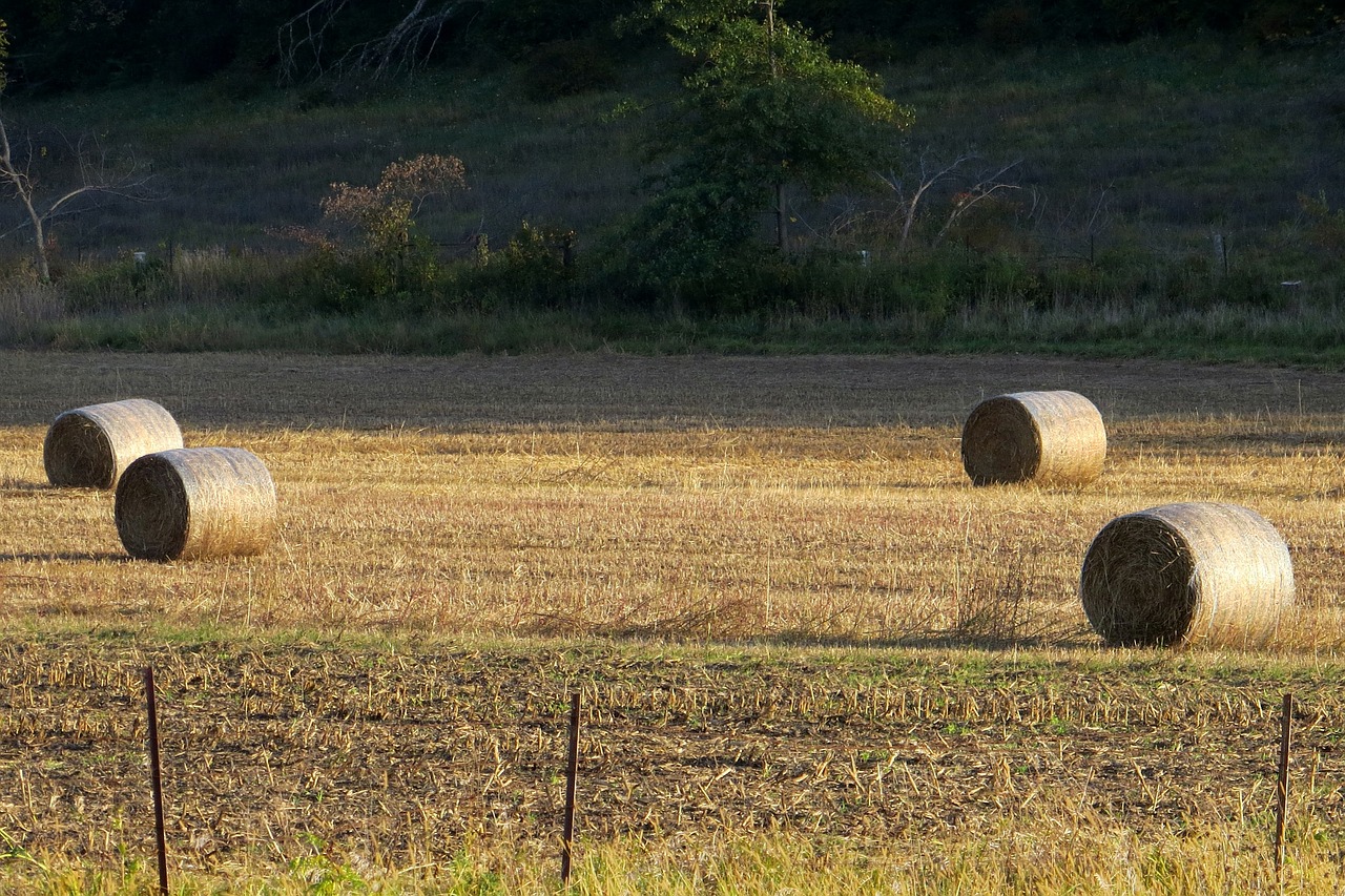 hay farm iowa free photo