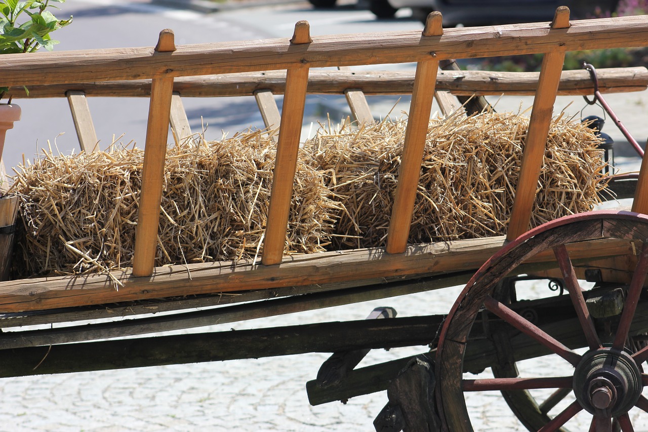 hay wagon farm free photo