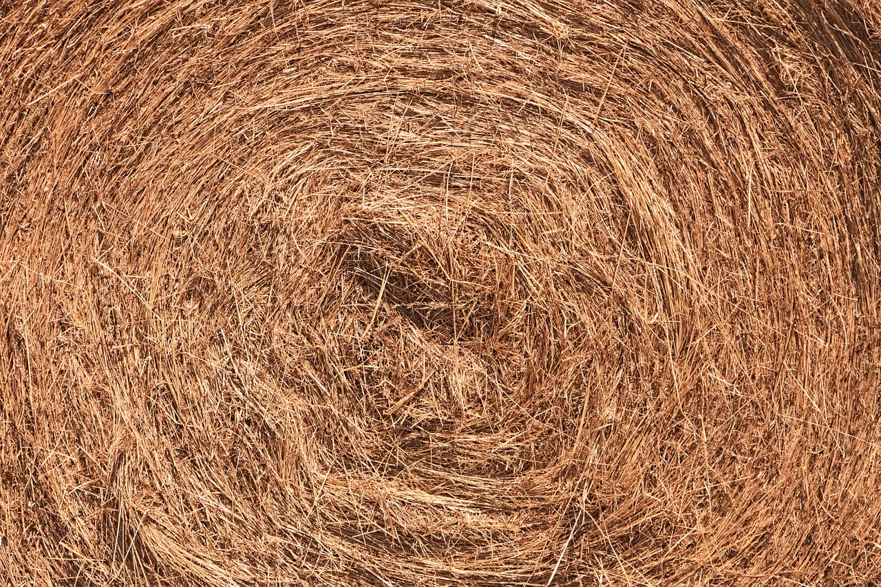 hay texture ball free photo