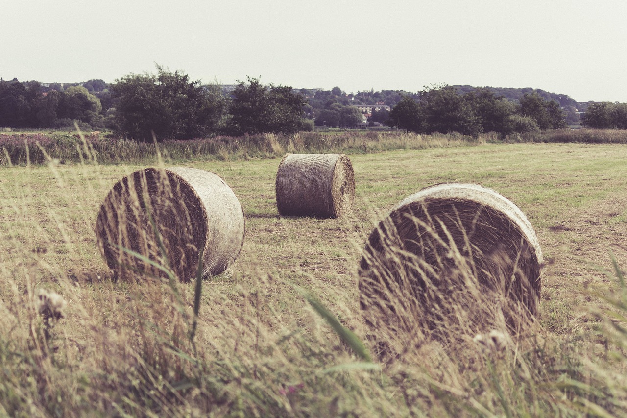 hay bale haystack free photo