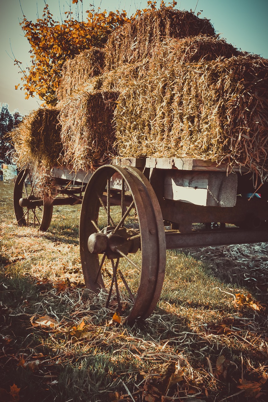 hay wagon cart free photo