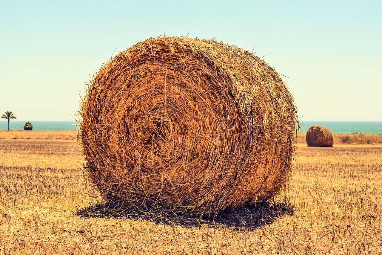 hay bale field agriculture free photo