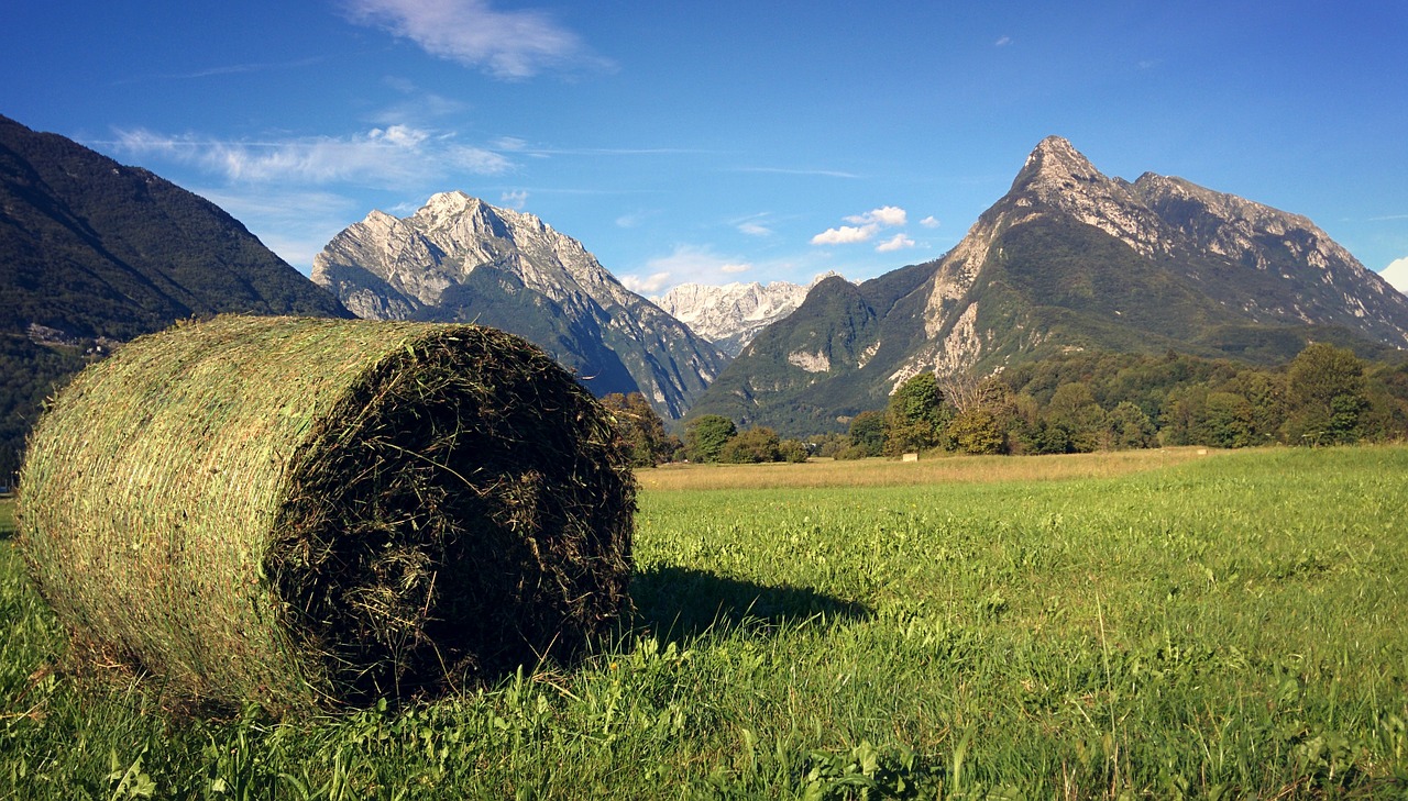 hay bale slovenia alps free photo