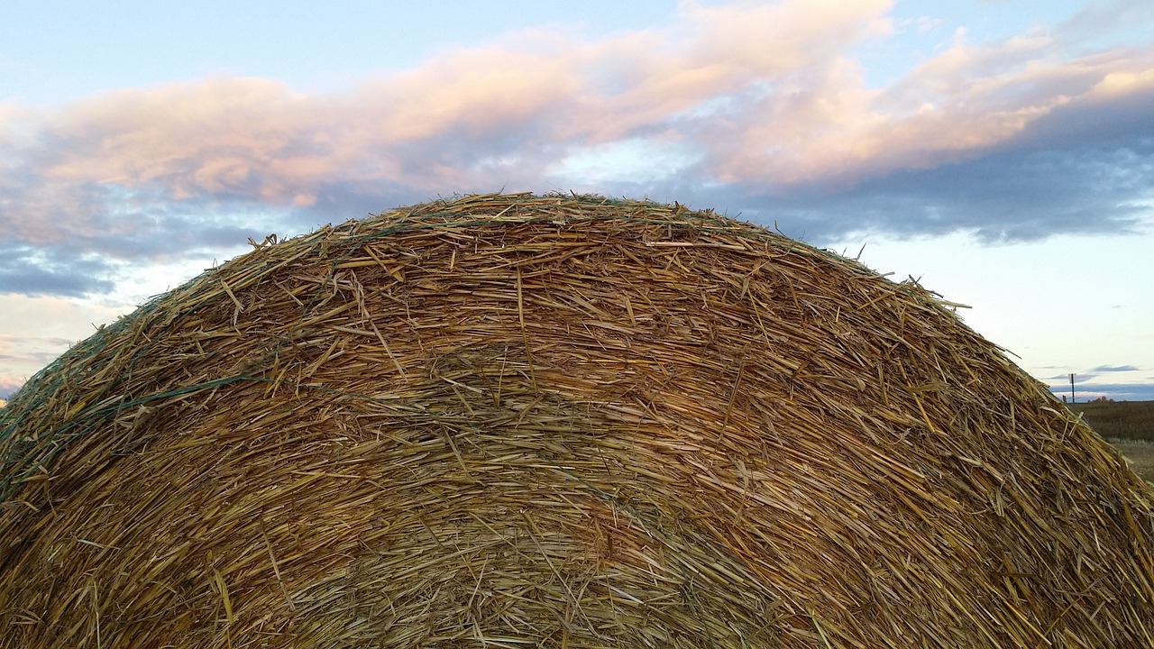 hay bale rural country free photo