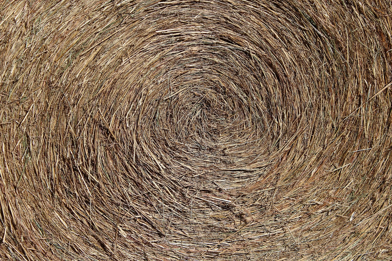 hay bale texture pattern free photo