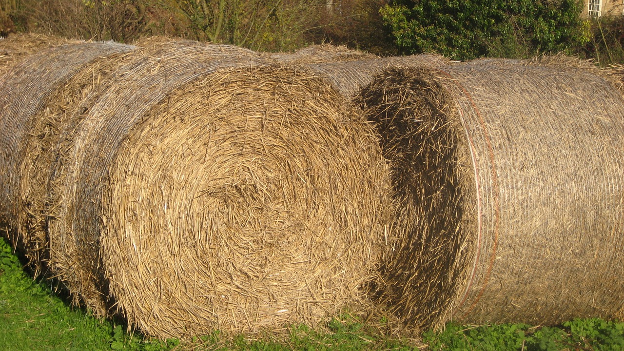 hay bales summer countryside free photo