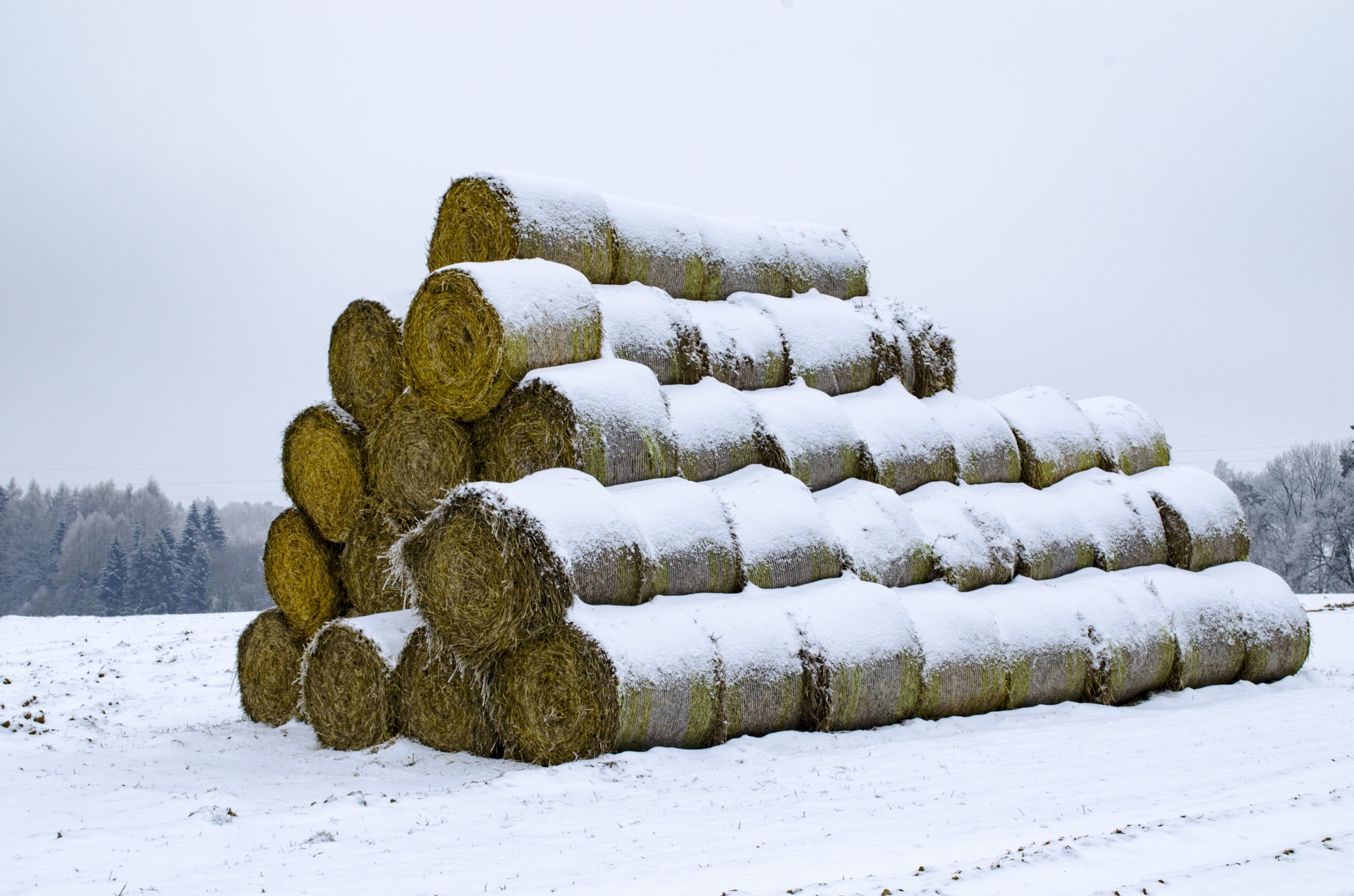 snow hay round free photo