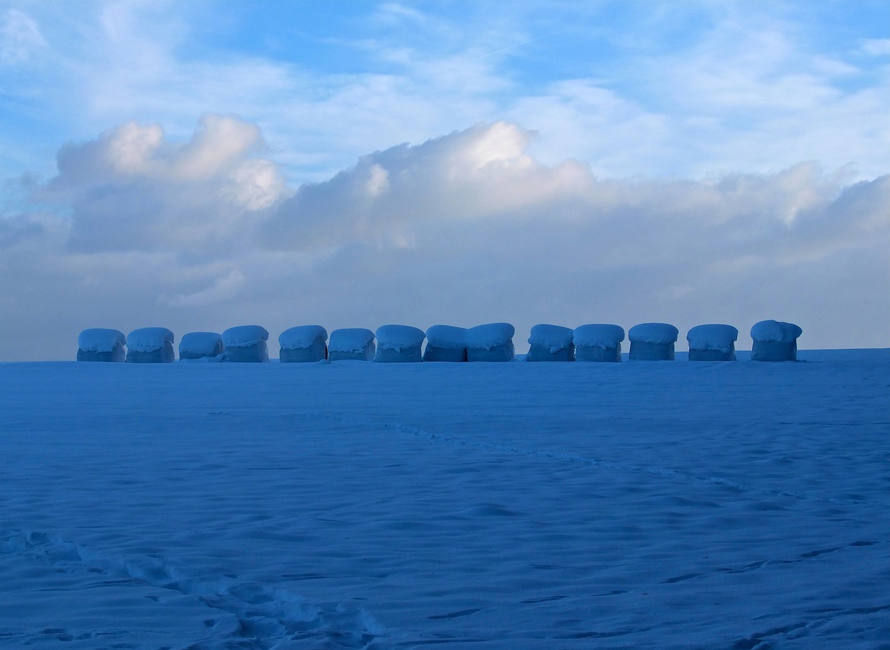 hay bales snow winter free photo